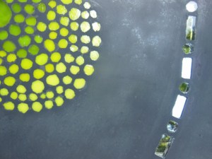 mosaïque béton petit pois(800x600)